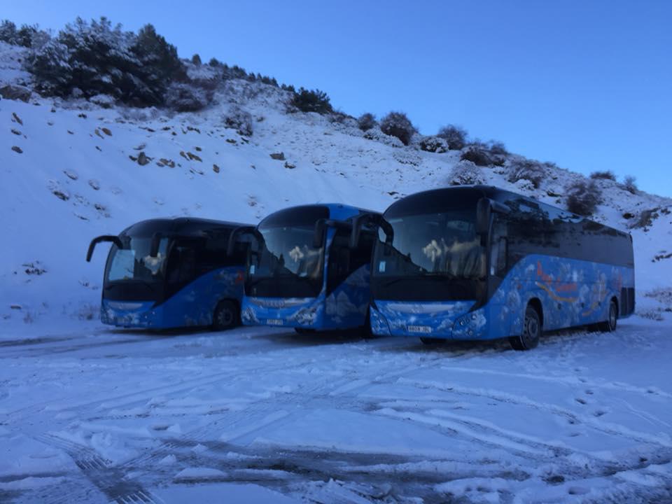 Images Autocares Y Microbuses Paco Campos