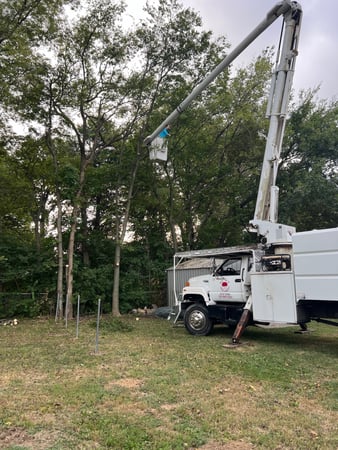 Images Acme Tree Service