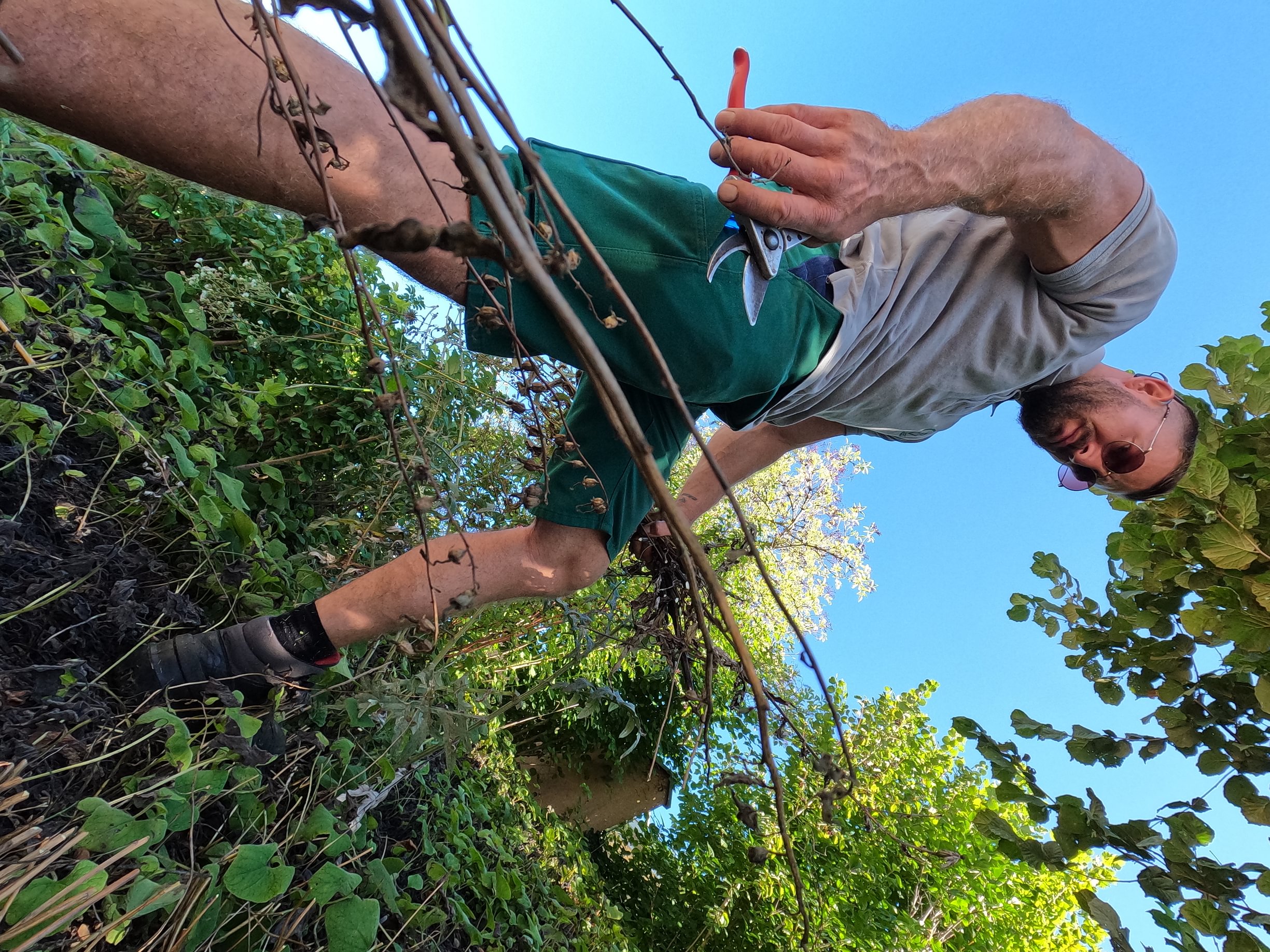 Walder's Hauswartung & Gartenunterhalt AG, Berglistrasse 7 in Wetzikon ZH