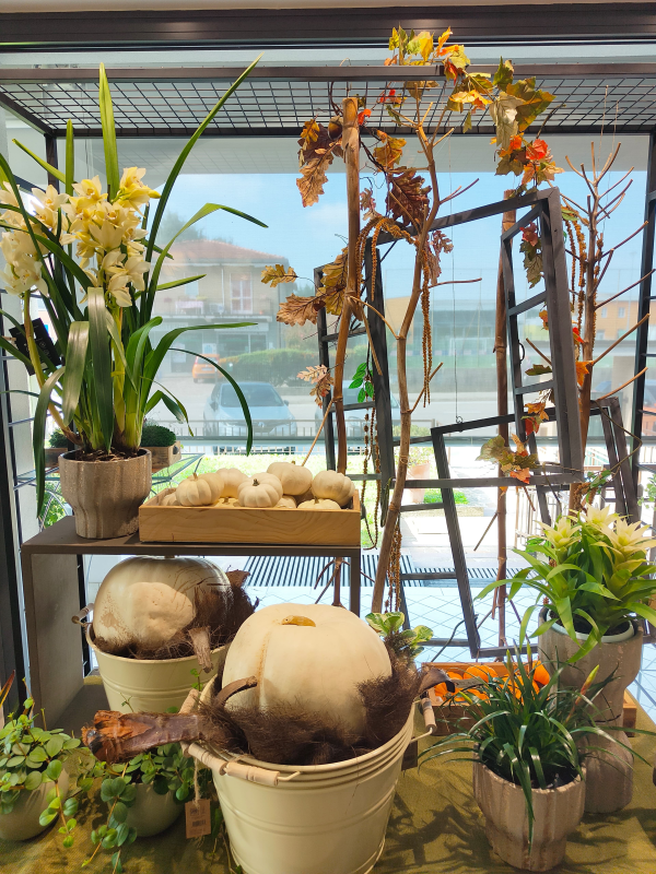 Images Fioreria Ponti