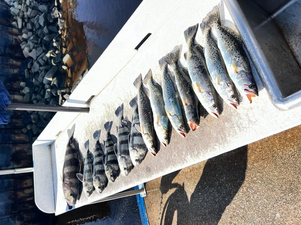 Images Eastern Tailz Outfitters