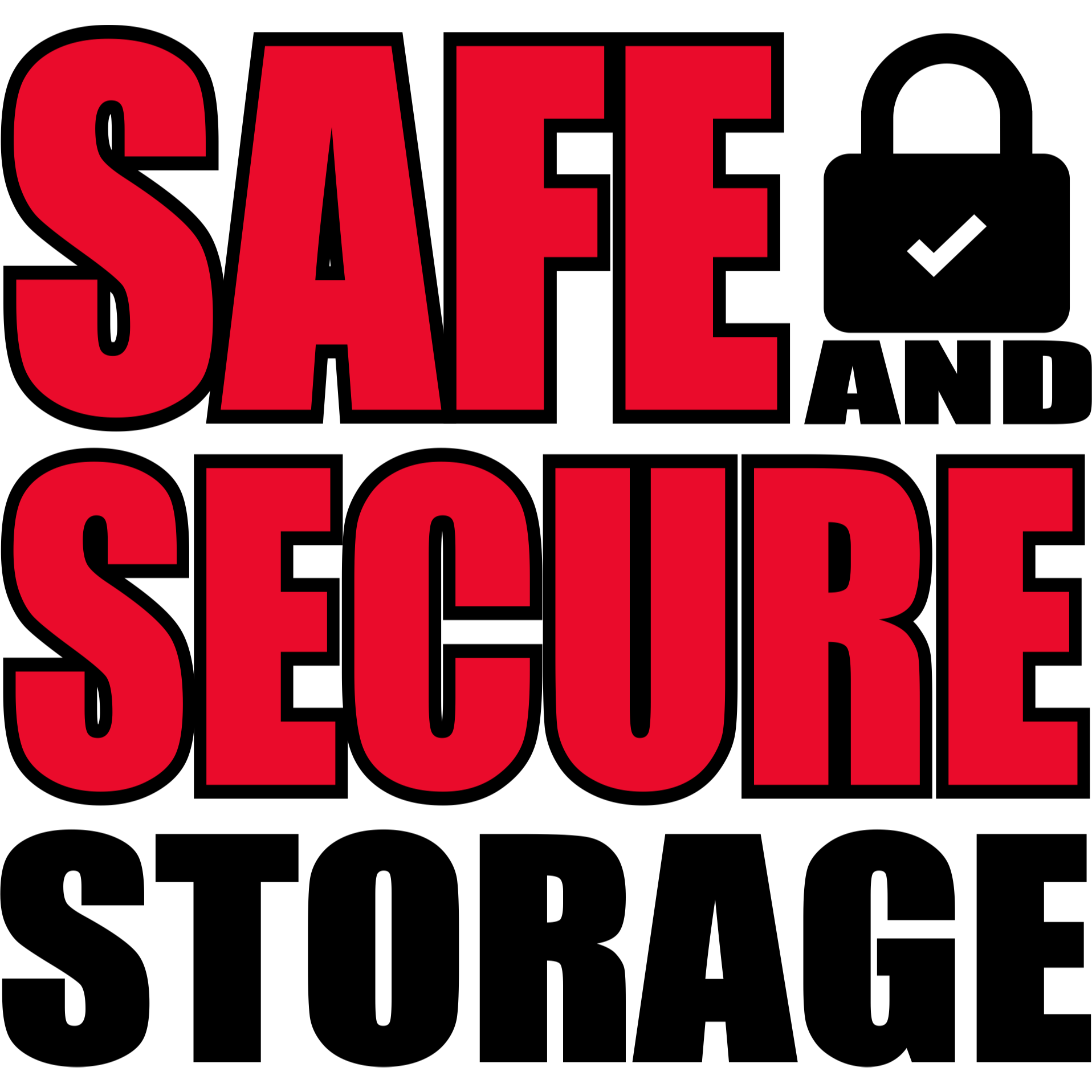 Safe and Secure Storage