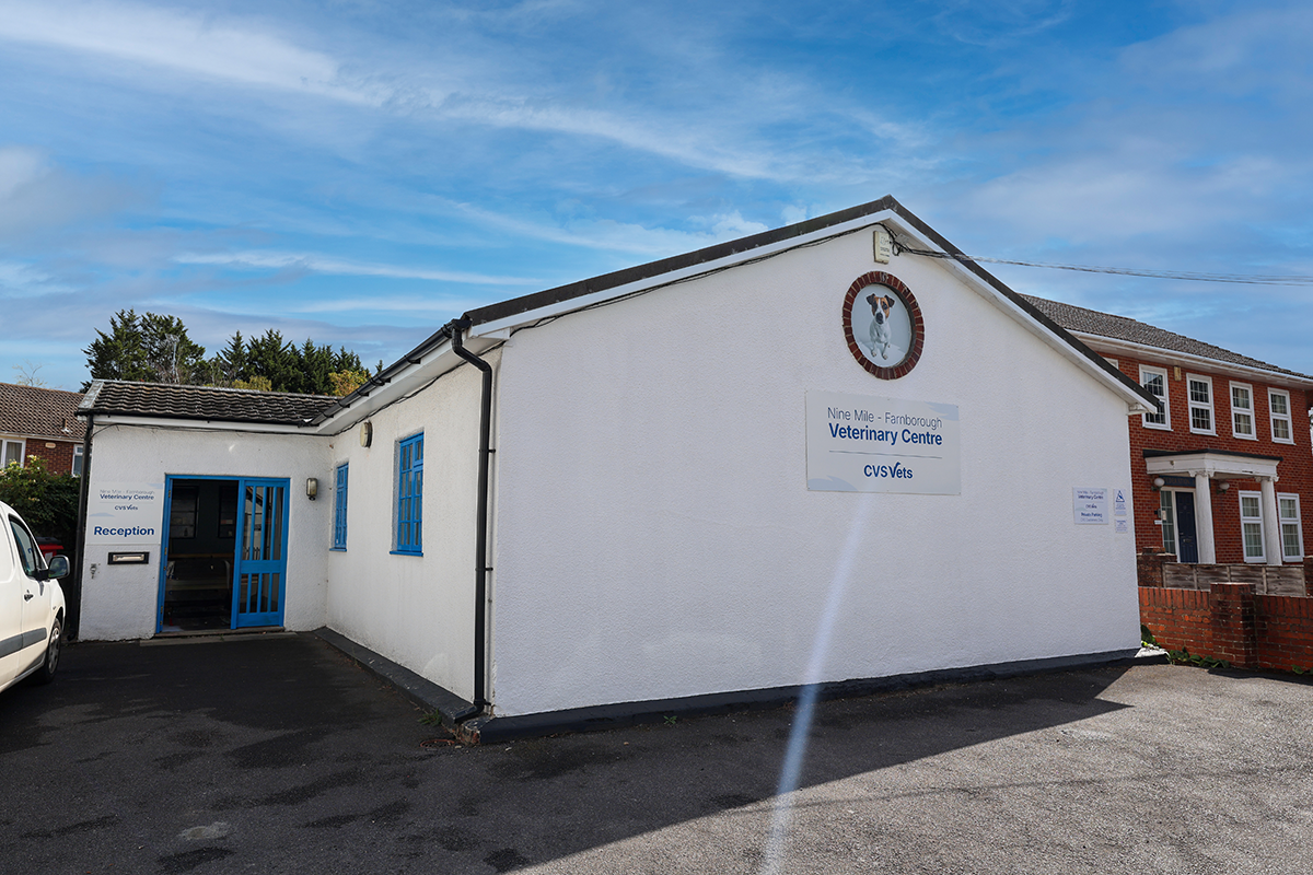 Nine Mile - Farnborough Veterinary Centre