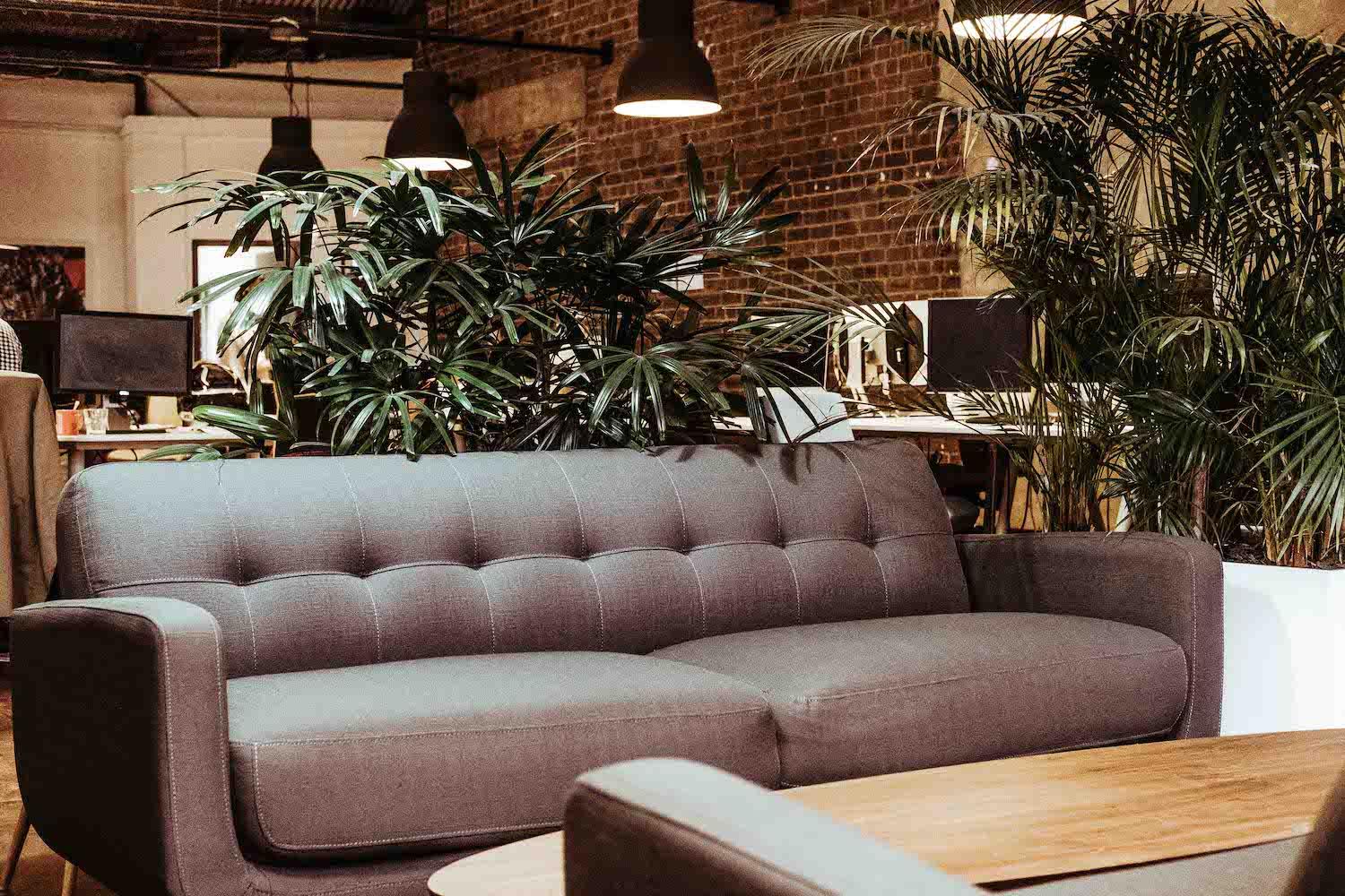 Images REBORN Digital Agency