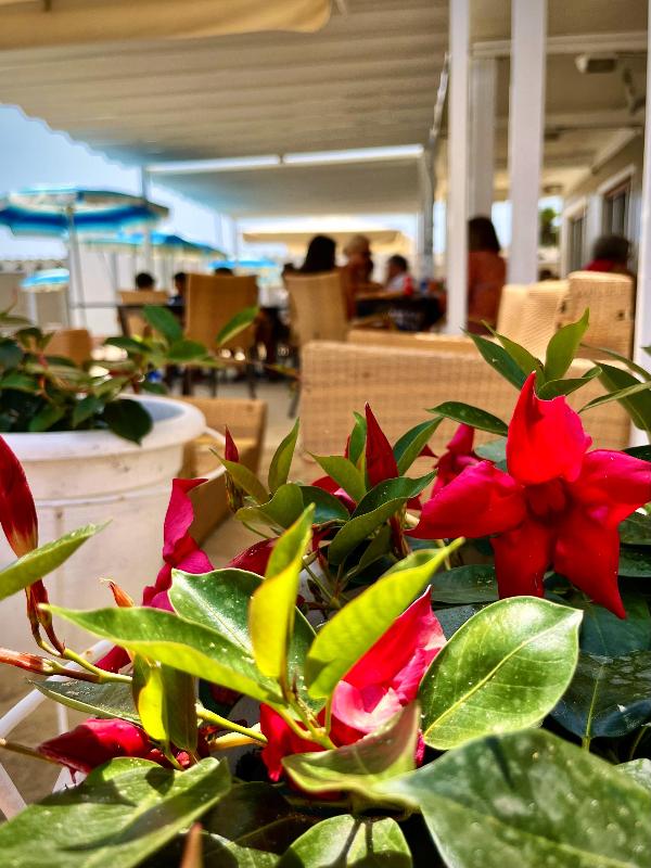 Images Bagni Mirasole