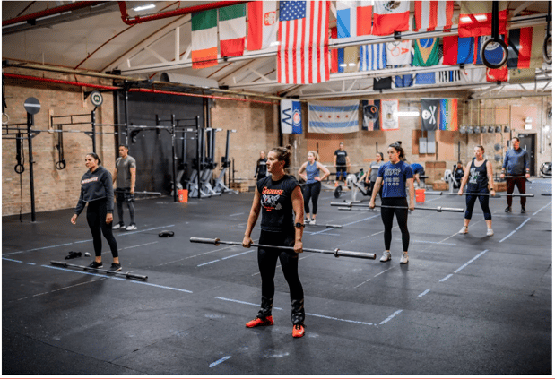 Images Dog House Fitness