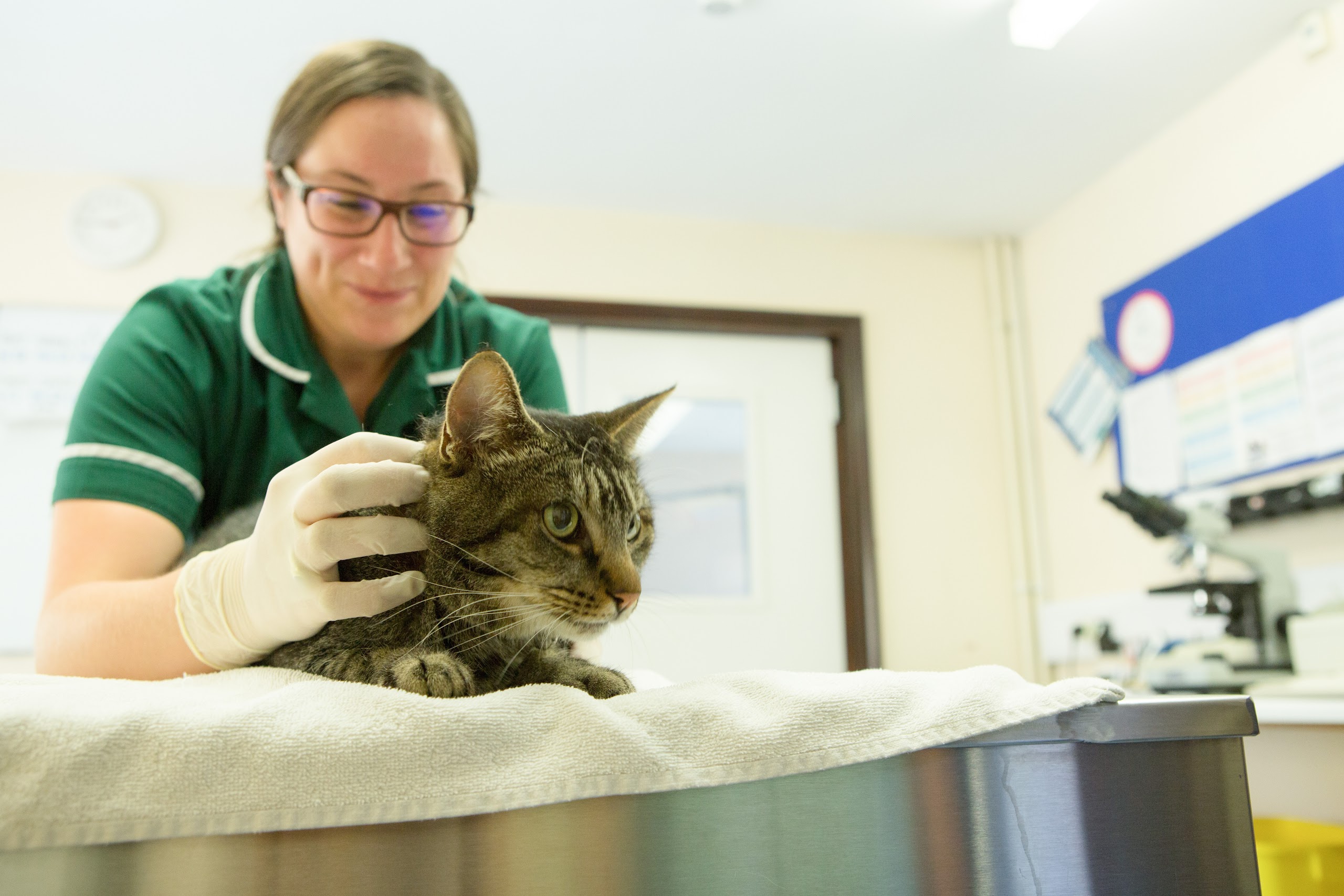 Images The Animal Clinic