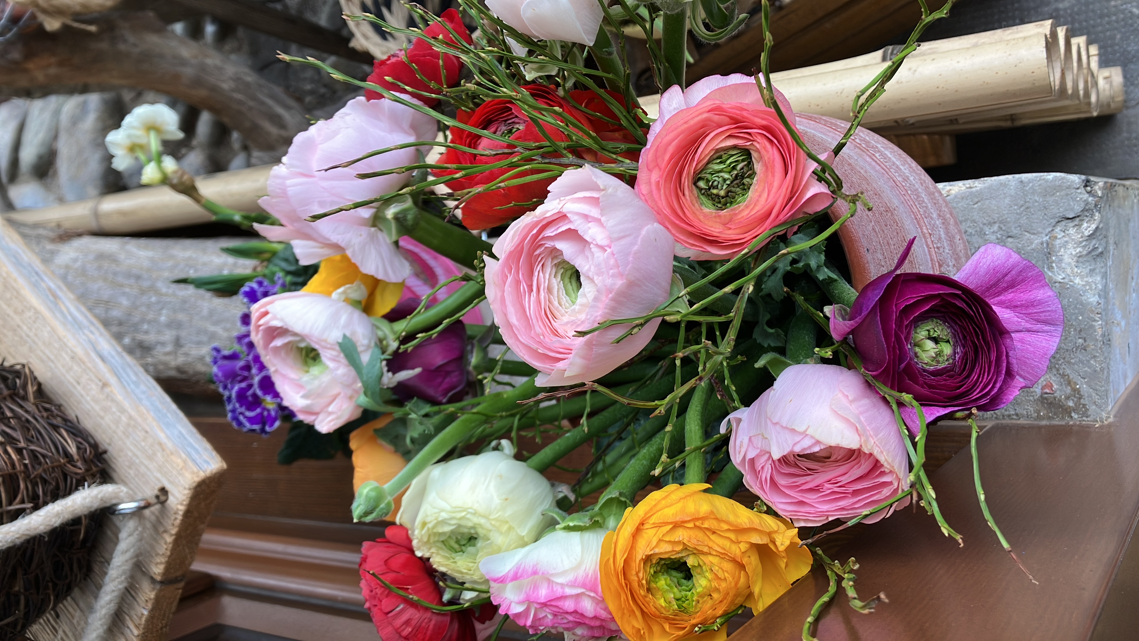 Bilder Fleurs d'Elfes