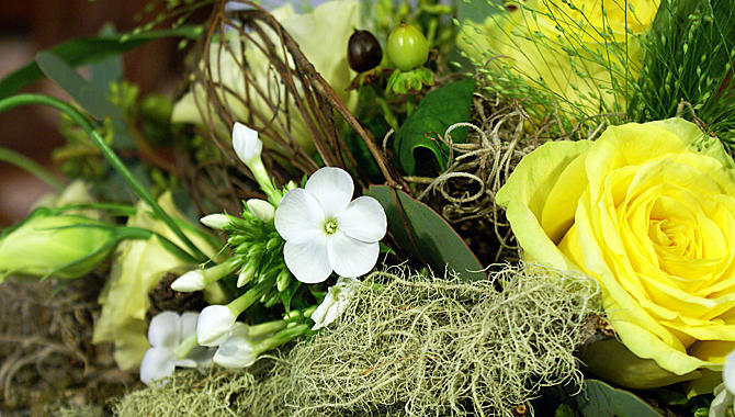 Blumenhaus Mäglin, Clarastrasse 50 in Basel