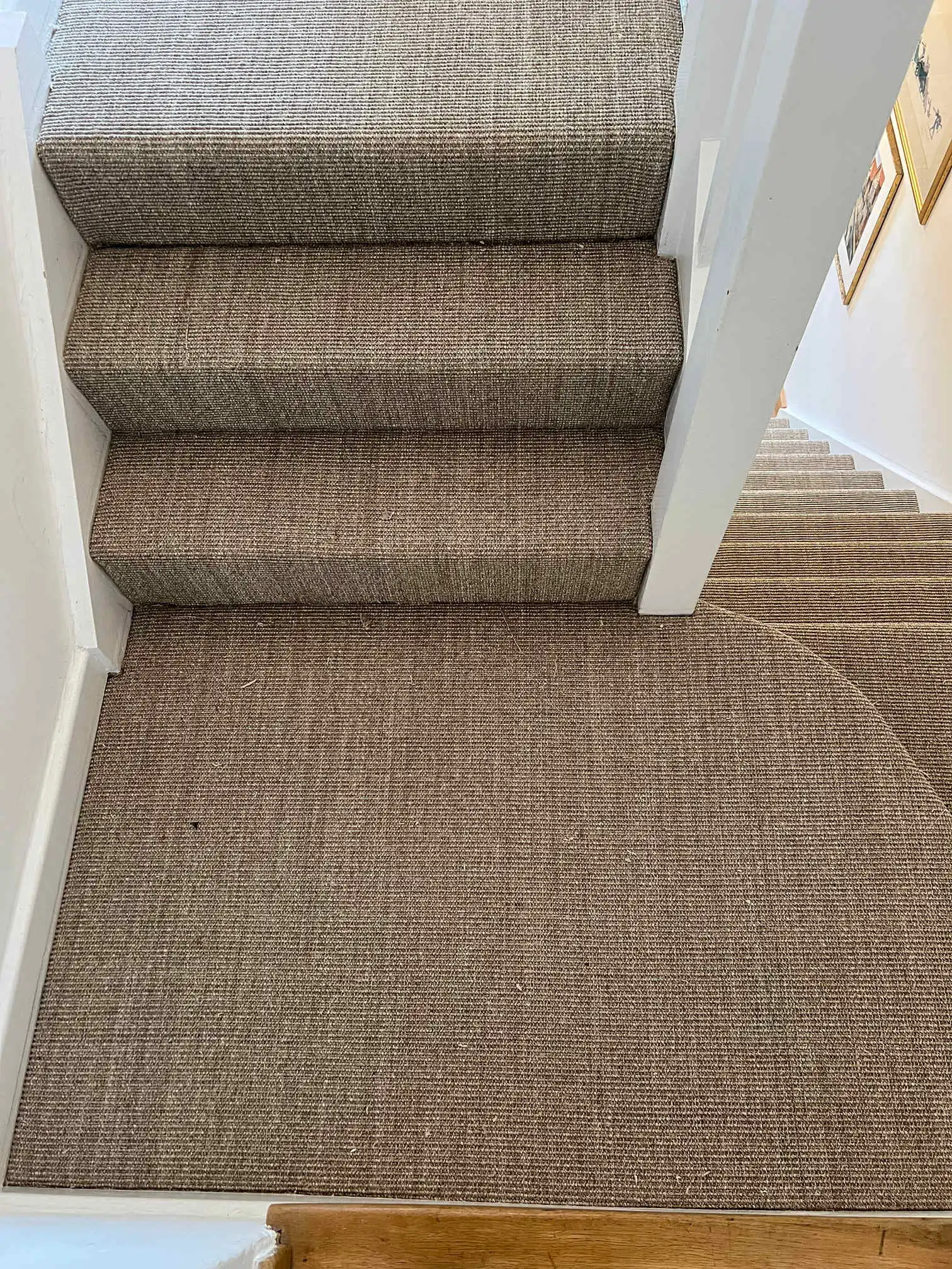 Images Special Ops Flooring