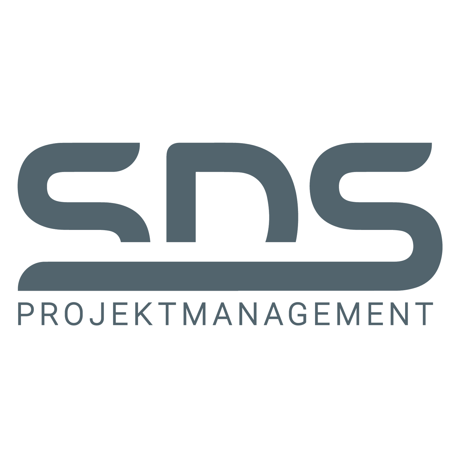 SDS Projektmanagement GmbH in Berlin - Logo