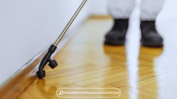 Images Pest Control Indianapolis