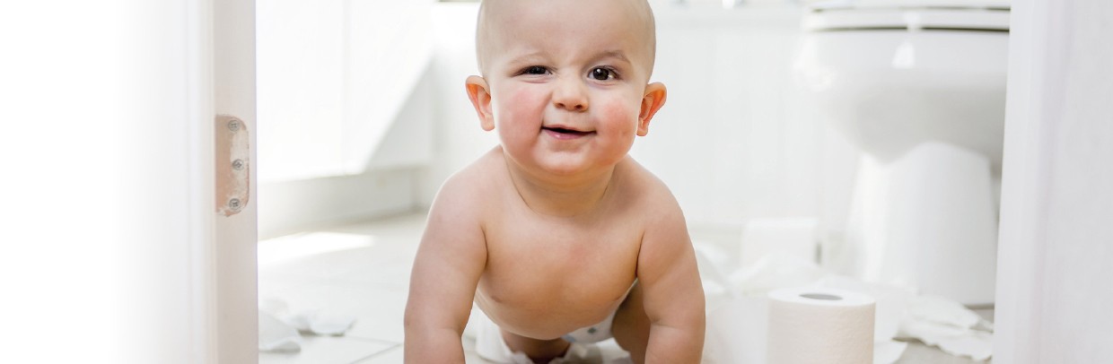 Kreuzkamp Hygiene Produkte, Werner-von-Siemens Strasse2 in Damme