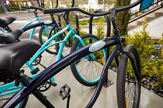 Images The Shoal La Jolla Beach