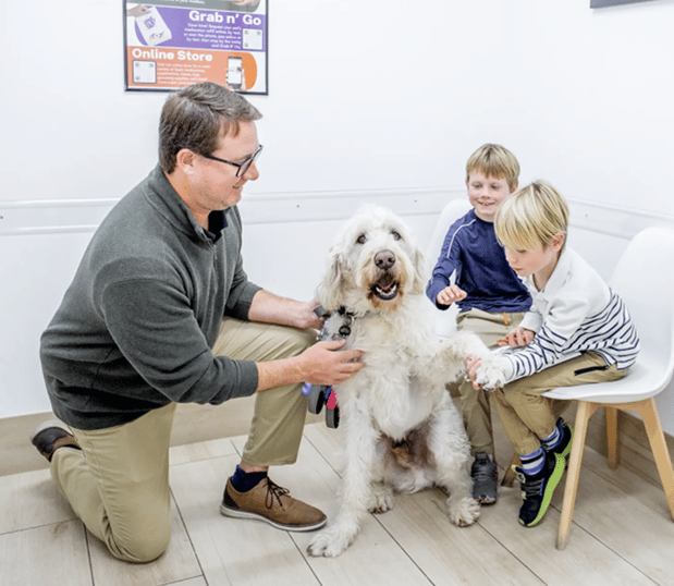 Images Crescenta Cañada Pet Hospital