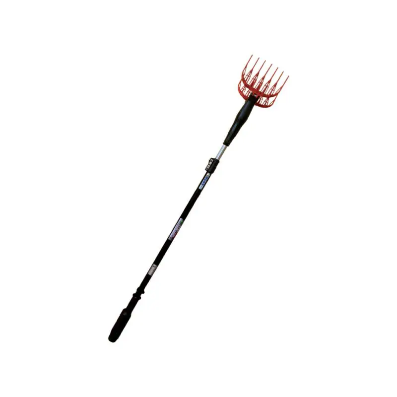 Images Sz Italia By Sicil Zappa