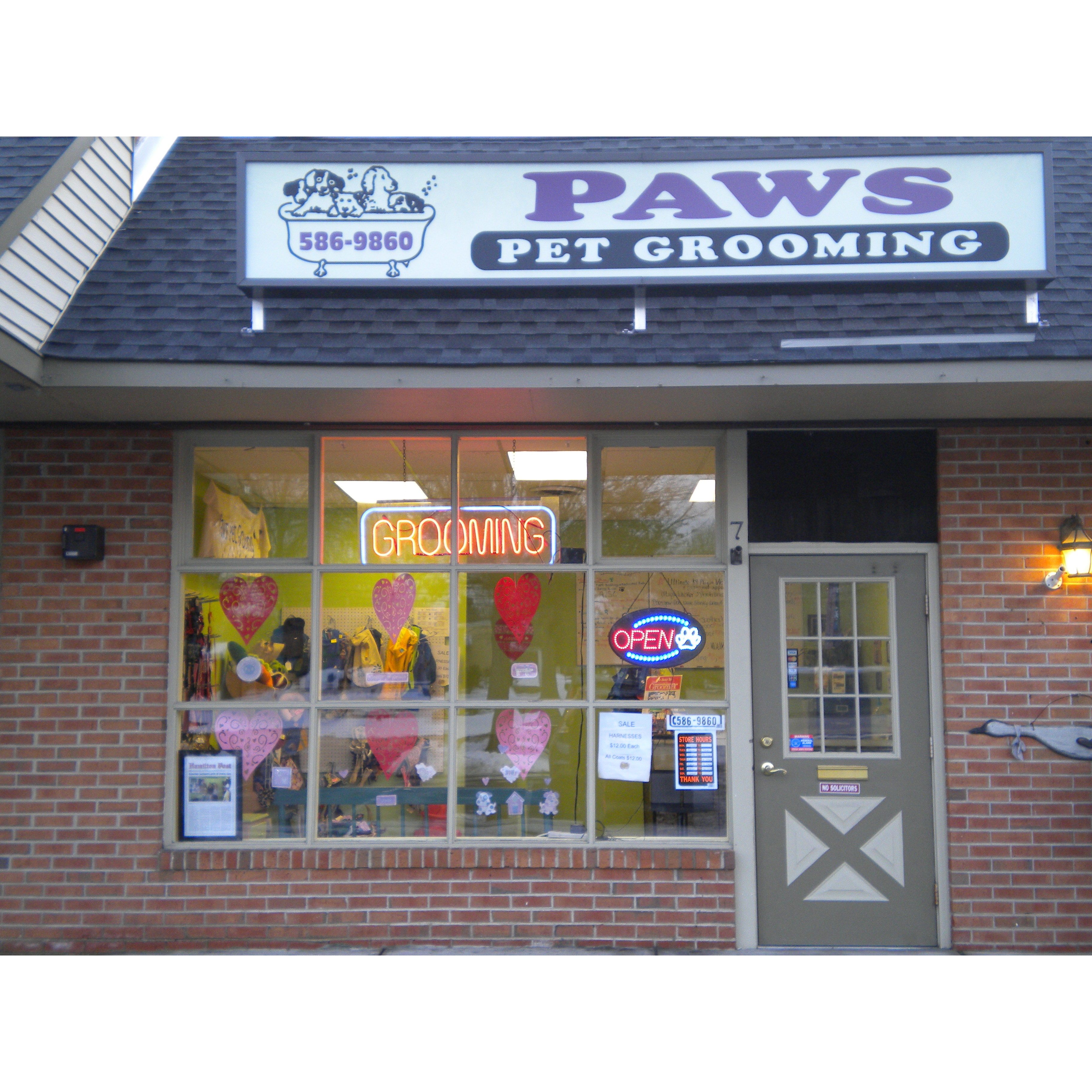 Paws Pet Store Near Me Pet Shop Browns Plains Pet Store Near Me 