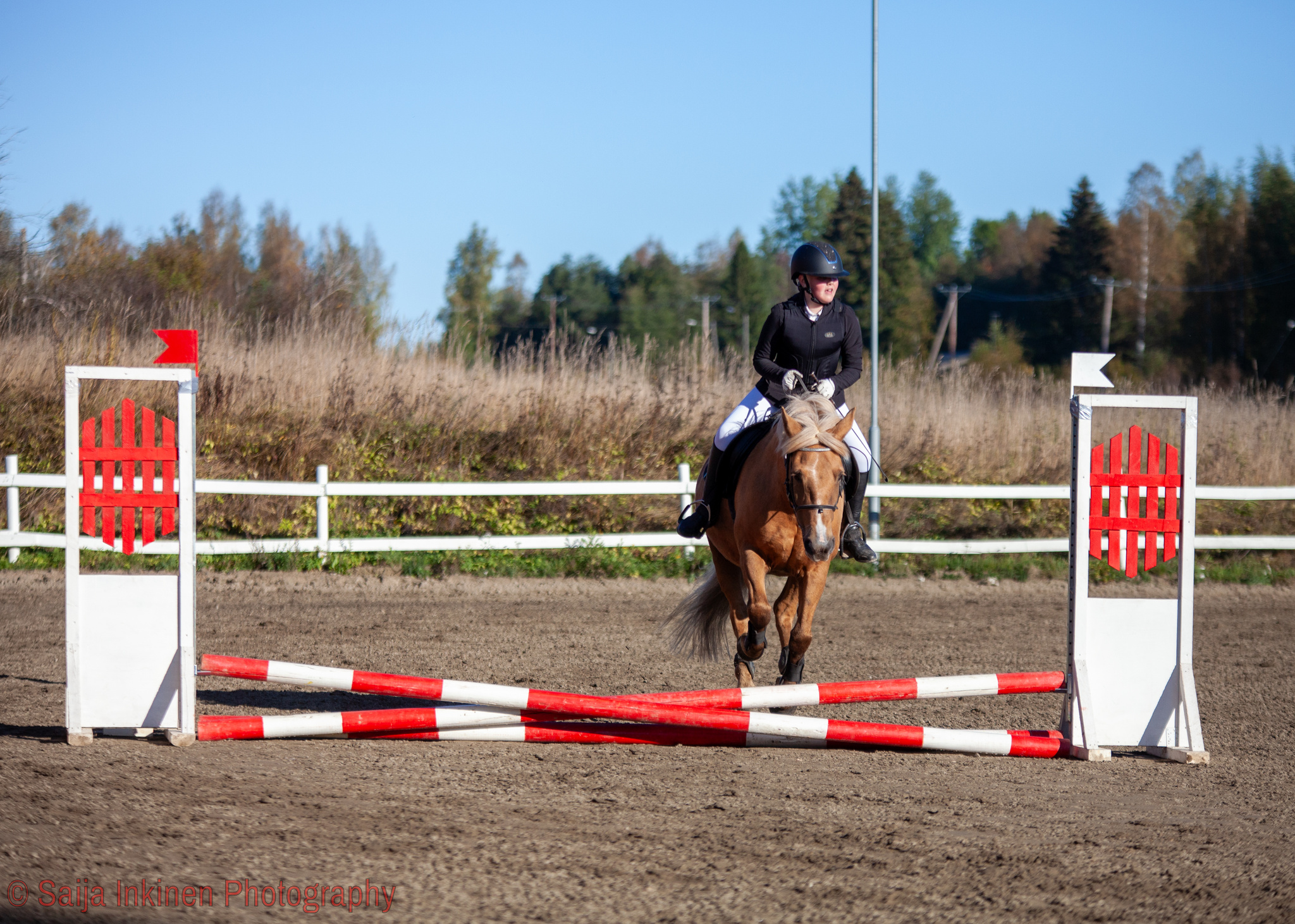 Images Relanderin Ponitalli