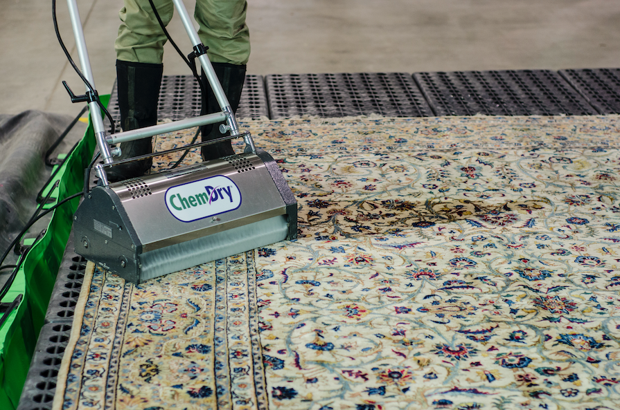 rug being cleaned by Chem-Dry