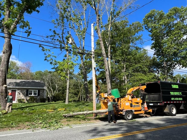 Images Yankee Tree Service