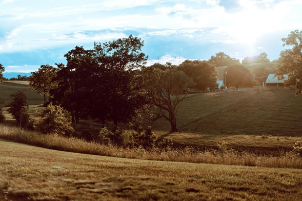 Images On Sunny Slope Farm