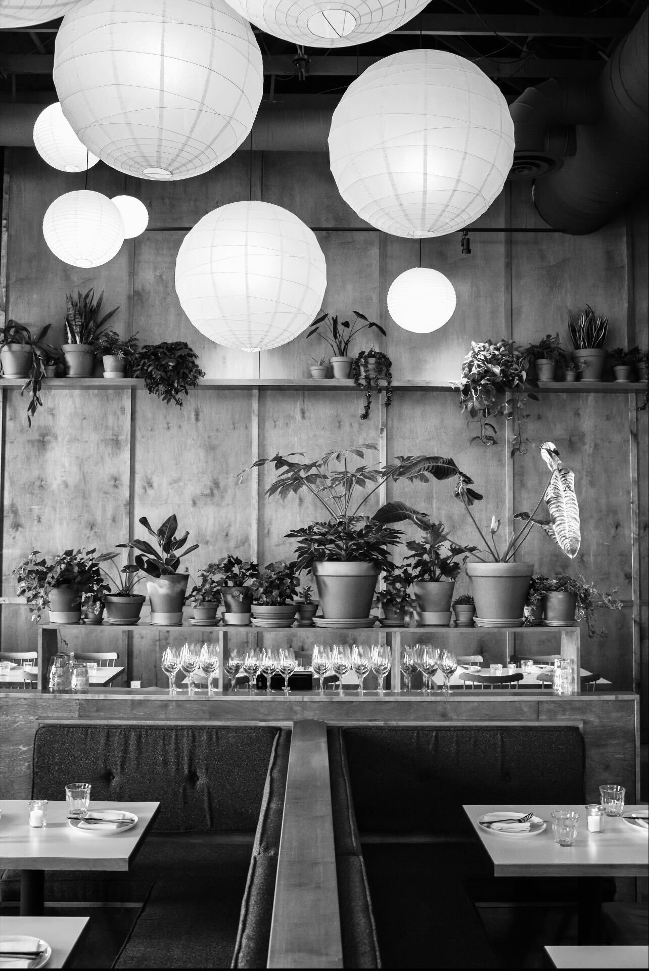 A black and white view of the lights inside Folk, a neighborhood restaurant on Meridian Street in Ea 