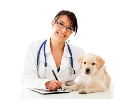 Images Centre Veterinari Terrassa - Nature Faunia