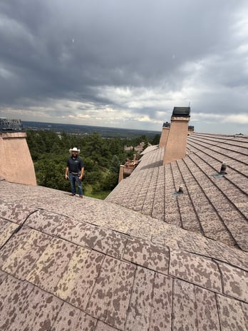 Images Rex Roofing & Solar, LLC