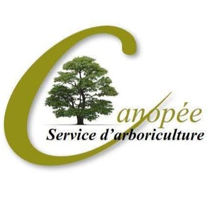 Canopée Service d'Arboriculture Logo