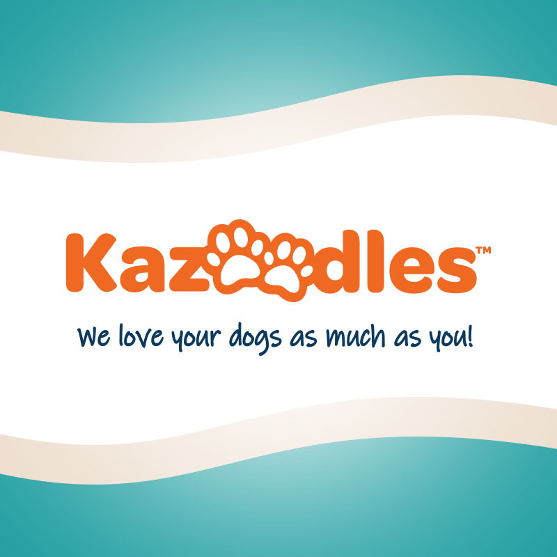 Kazoodles - Jenkintown, PA 19046 - (215)887-9663 | ShowMeLocal.com
