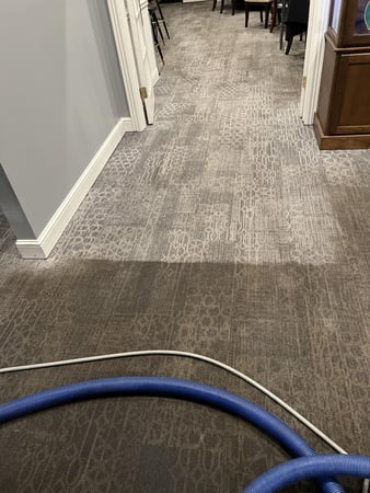Images Allen's Carpet Care Plus