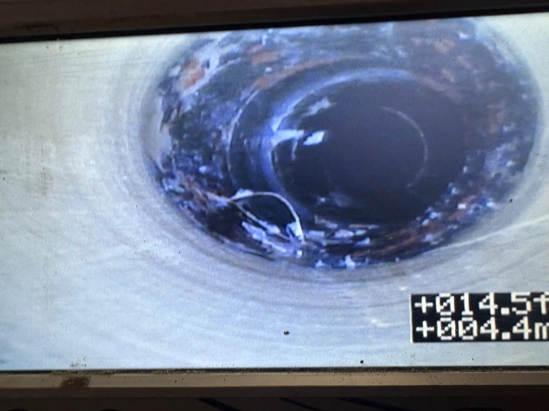 Images DrainCam Plumbing