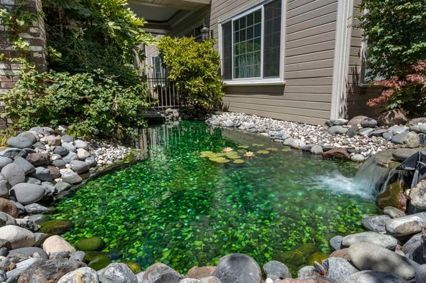 Images Hampton Inn Ukiah