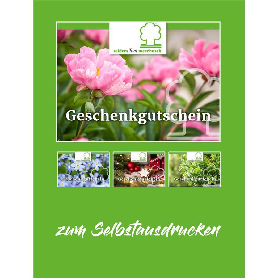 Bilder Garten Selders GmbH