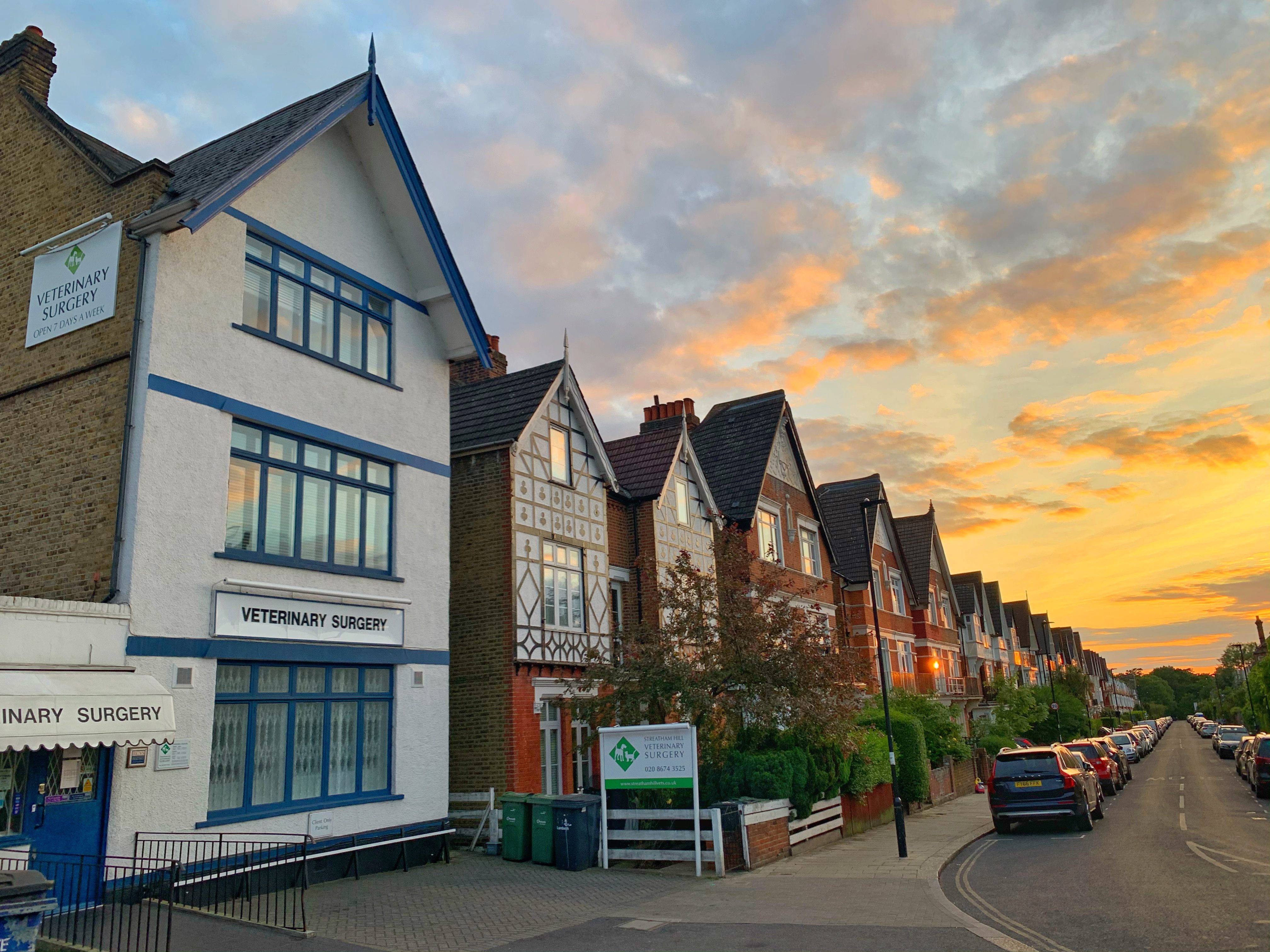 Images Streatham Hill Veterinary Surgery
