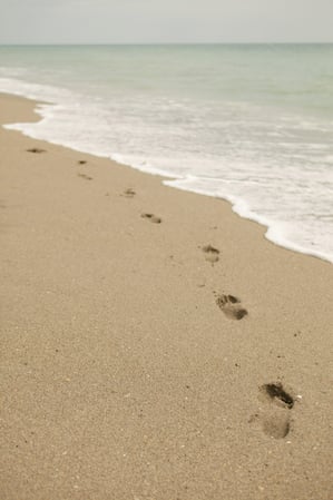 Images Jupiter Beach Resort & Spa