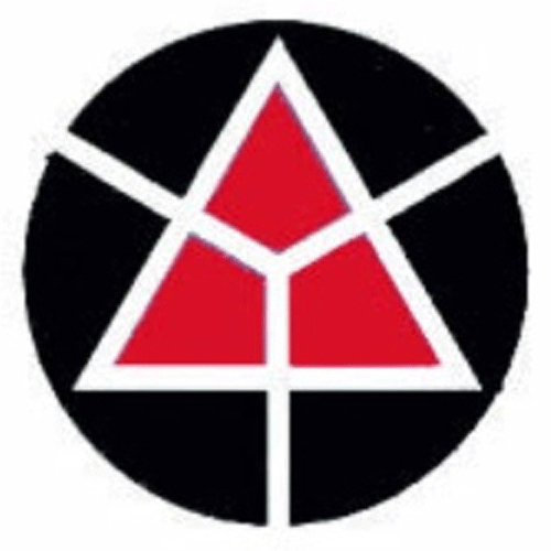 Bobinados Del Sur Logo