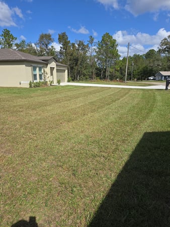 Images JS Best Landscaping LLC