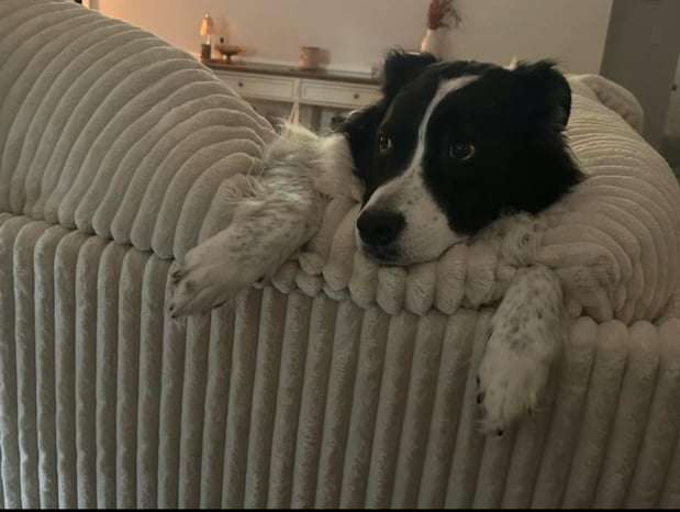 Images Discount Furniture & Mattress