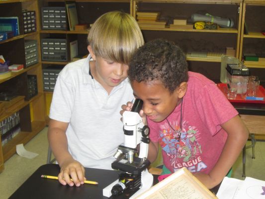 Images Brooksfield School