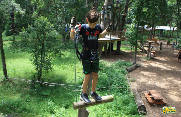 Swing from platforms at TreeHoppers