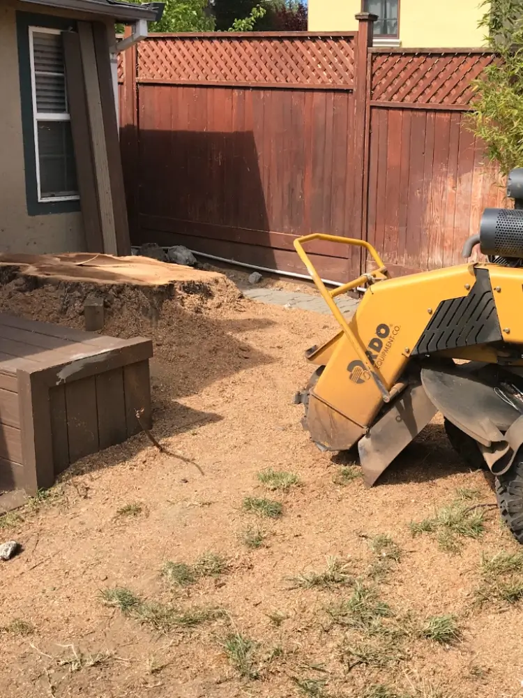 Majestic Tree Service