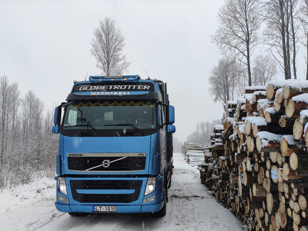 Kvalitatīvi sagatavoti apaļkoki transportēšanai un pārstrādei.