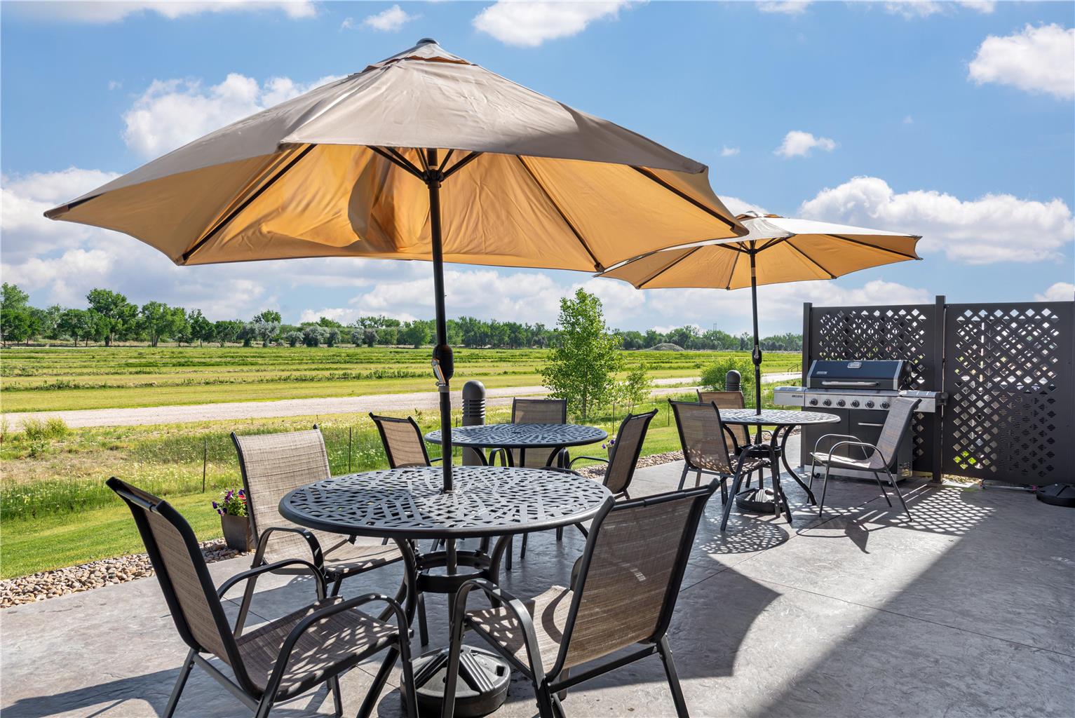 Patio and BBQ
