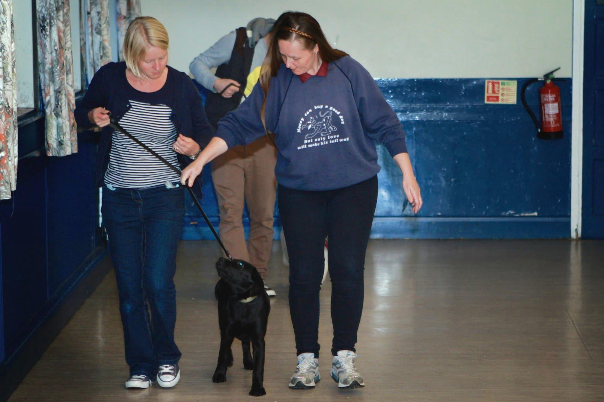 Images Brookwood & Normandy Dog Training