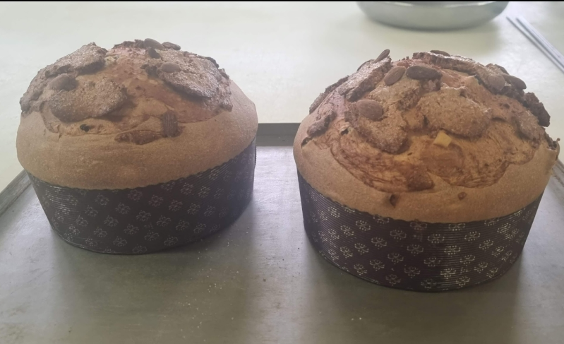 Images Panificio e Panetteria il Forno Bio di Giò