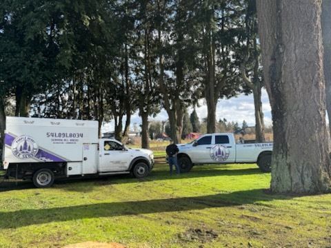 Two white service trucks with Purple Heart Tree Service logos are parked on a lawn beneath tall evergreens, as a worker stands near the pickup truck.