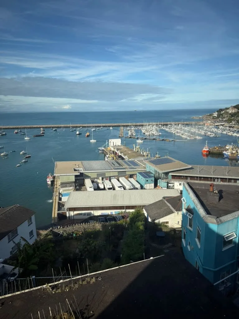 Images TransitDirect Transport Removals and Storage