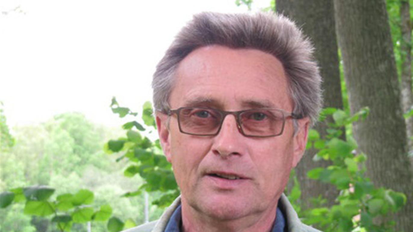 Images Rokvists Trädgårdsservice AB