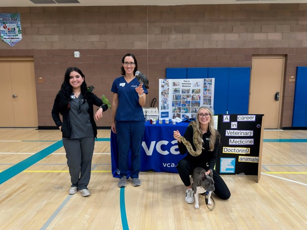 Images VCA Valley Animal Hospital of Sahuarita